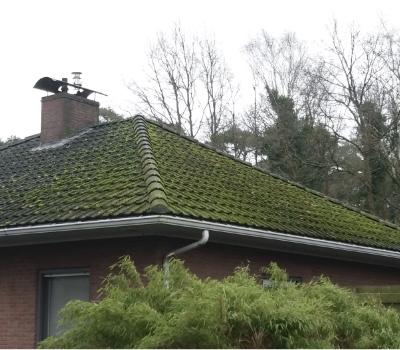 Methoden voor dak ontmossing