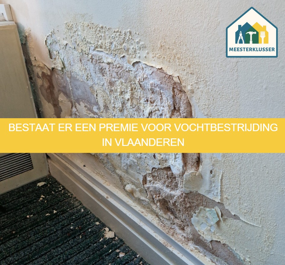 Bestaat er een premie voor vochtbestrijding in Vlaanderen