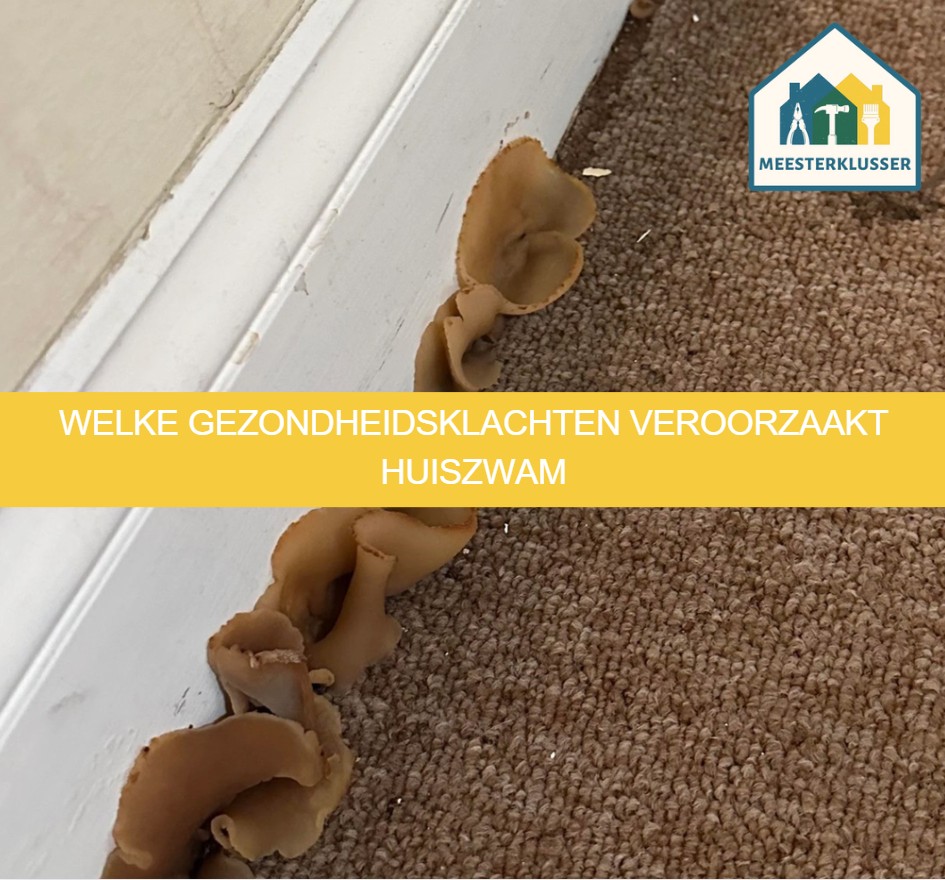 Welke gezondheidsklachten veroorzaakt huiszwam